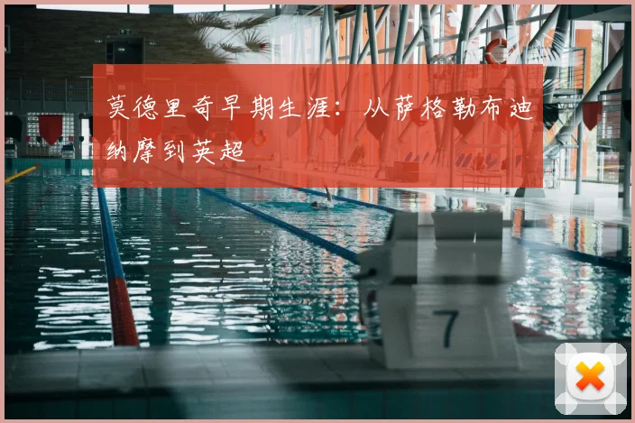 莫德里奇早期生涯:从萨格勒布迪纳摩到英超
