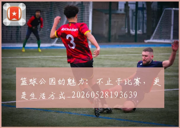 篮球公园的魅力:不止于比赛,更是生活方式_20260528193639