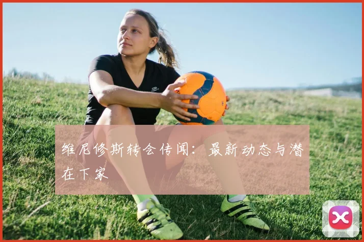 维尼修斯转会传闻：最新动态与潜在下家